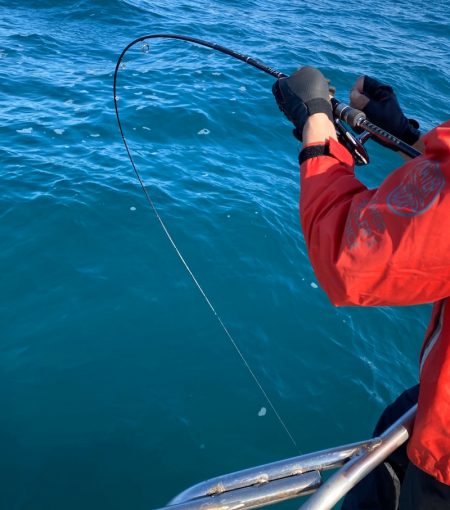 あみや渡船 JIGBOY 釣果