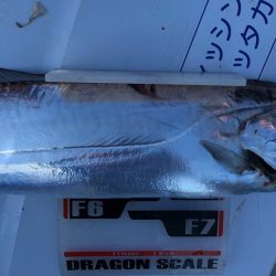 フィッシング　キッタカ 釣果