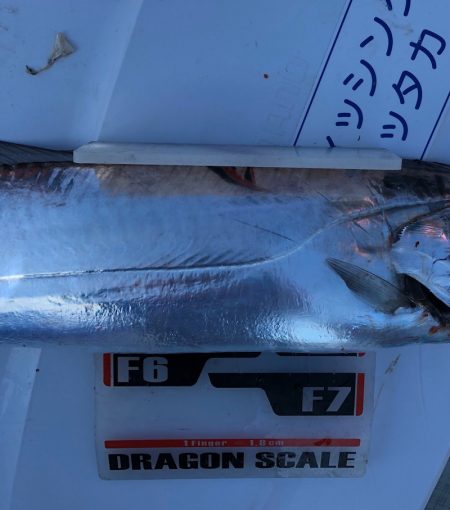 フィッシング　キッタカ 釣果