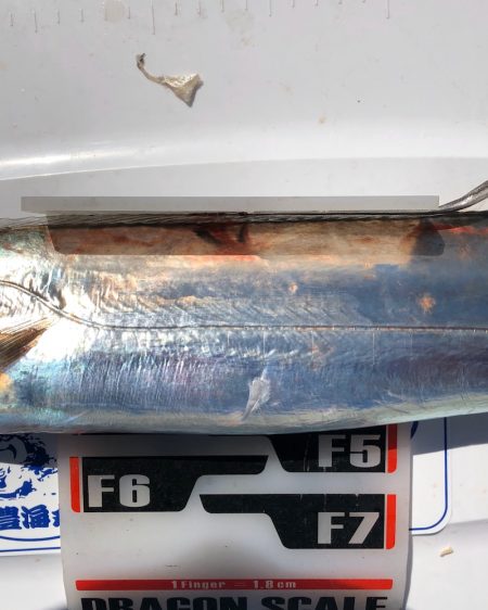 フィッシング　キッタカ 釣果