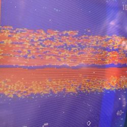 あみや渡船 JIGBOY 釣果