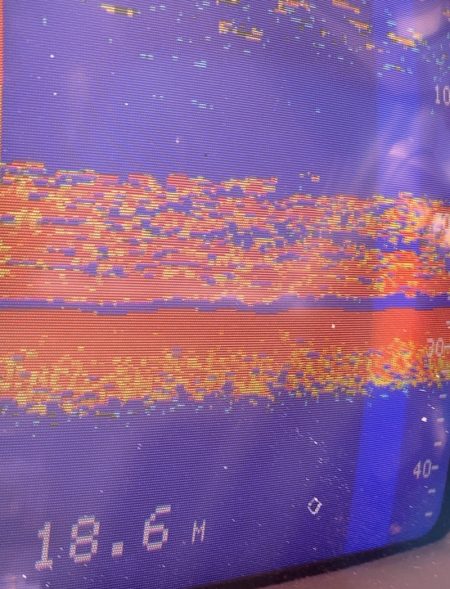 あみや渡船 JIGBOY 釣果