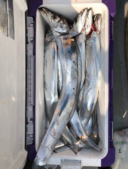 フィッシング キッタカ 釣果