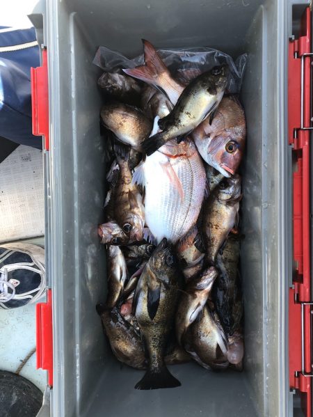 フィッシング キッタカ 釣果