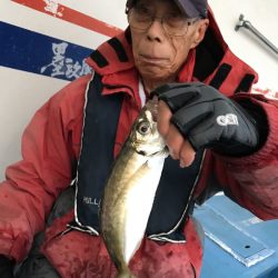 ヤザワ渡船 釣果