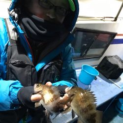 ヤザワ渡船 釣果