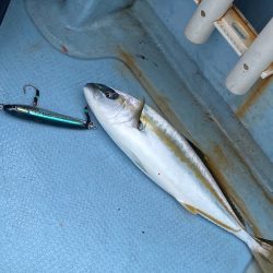 あみや渡船 JIGBOY 釣果