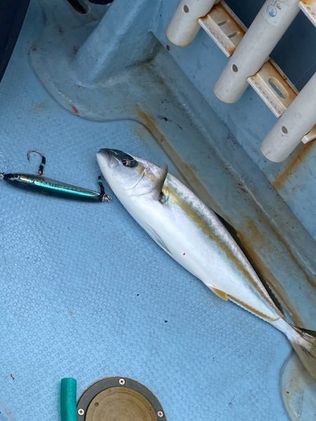 あみや渡船 JIGBOY 釣果