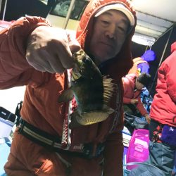 ヤザワ渡船 釣果