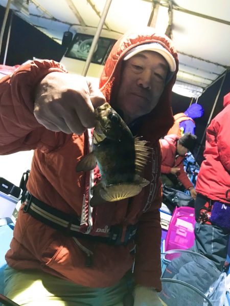 ヤザワ渡船 釣果