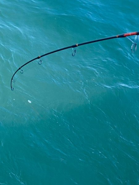 あみや渡船 JIGBOY 釣果