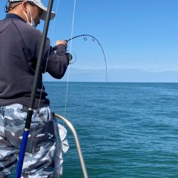 あみや渡船 JIGBOY 釣果