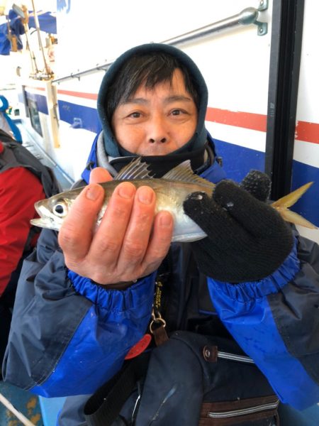 ヤザワ渡船 釣果