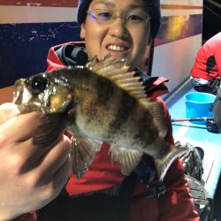 ヤザワ渡船 釣果