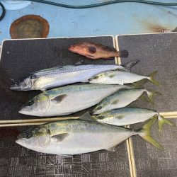 Monster Rush! 釣果