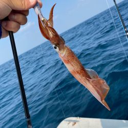 「LaGooN」蒼陽丸 日和号　 釣果