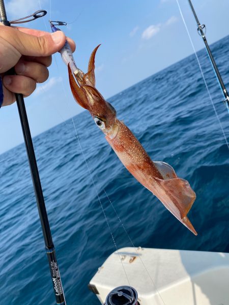 「LaGooN」蒼陽丸 日和号　 釣果