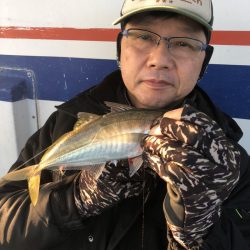 ヤザワ渡船 釣果