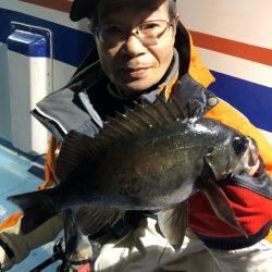 ヤザワ渡船 釣果