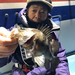 ヤザワ渡船 釣果