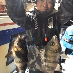 ヤザワ渡船 釣果