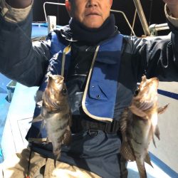 ヤザワ渡船 釣果