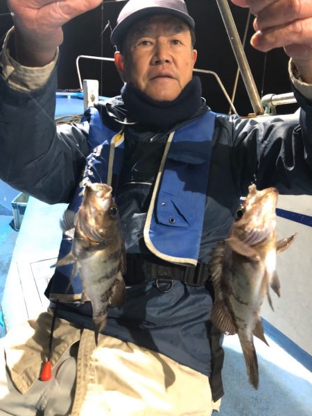 ヤザワ渡船 釣果