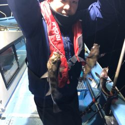 ヤザワ渡船 釣果