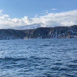 シーランチ 釣果