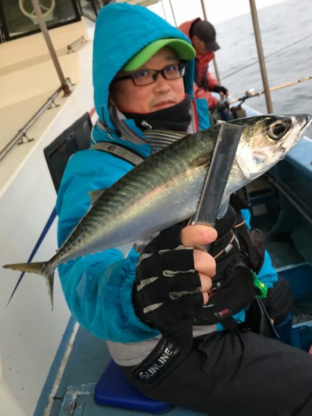 ヤザワ渡船 釣果