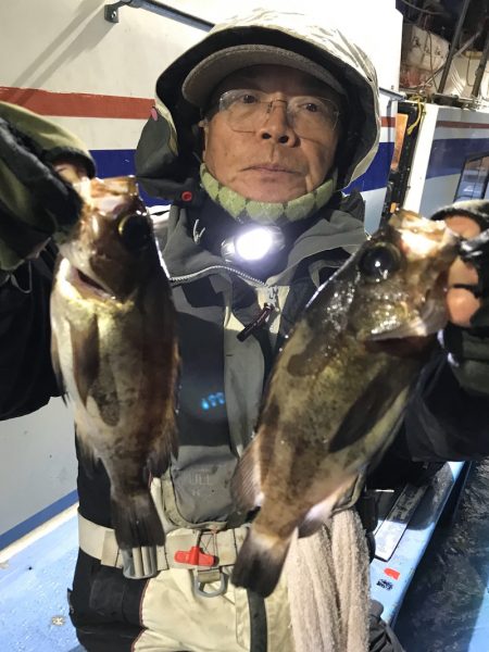 ヤザワ渡船 釣果