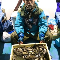 ヤザワ渡船 釣果