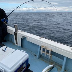 あみや渡船 JIGBOY 釣果