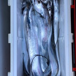 フィッシング キッタカ 釣果