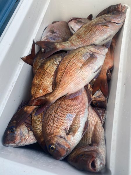 龍神丸（鹿児島） 釣果