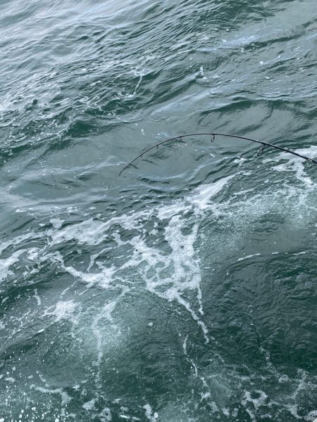 あみや渡船 JIGBOY 釣果