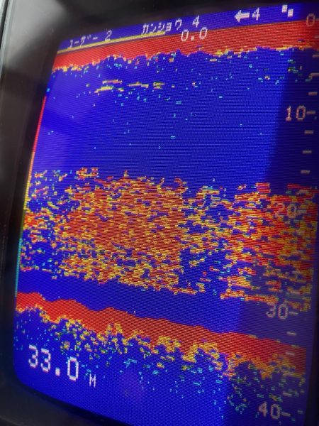 あみや渡船 JIGBOY 釣果