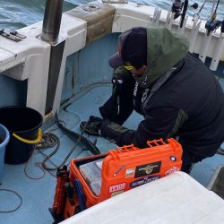 あみや渡船 JIGBOY 釣果