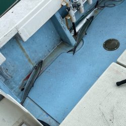 あみや渡船 JIGBOY 釣果