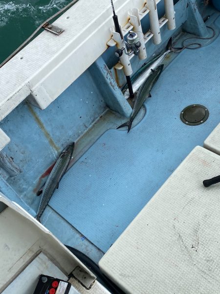 あみや渡船 JIGBOY 釣果