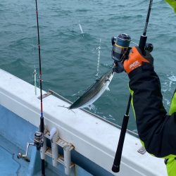 あみや渡船 JIGBOY 釣果