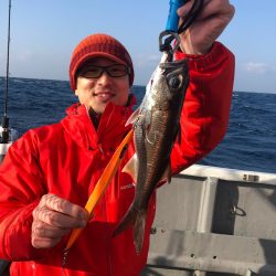 ＴＡＲＯＭＡＲＵ 釣果