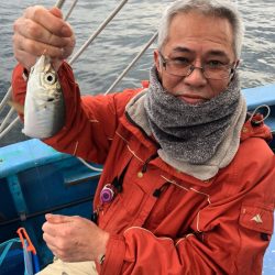 ヤザワ渡船 釣果