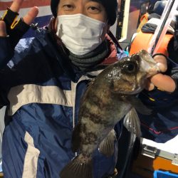 ヤザワ渡船 釣果