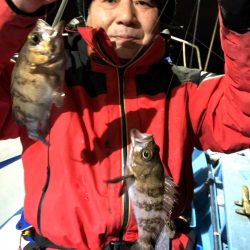 ヤザワ渡船 釣果