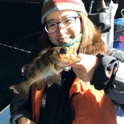 ヤザワ渡船 釣果