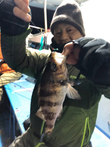 ヤザワ渡船 釣果