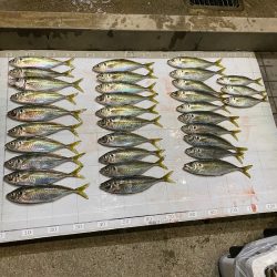 Monster Rush! 釣果