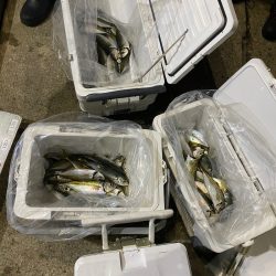 Monster Rush! 釣果