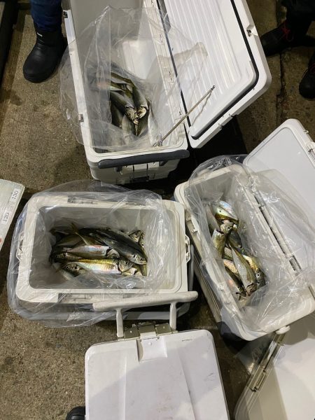 Monster Rush! 釣果